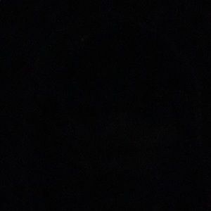 Meet your Posher, Max